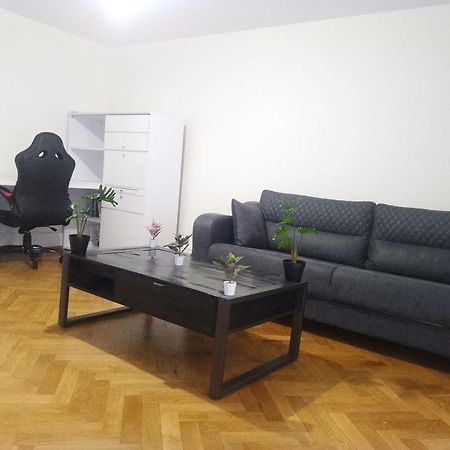 Charming Flat Center And Near The Lake 日内瓦 外观 照片