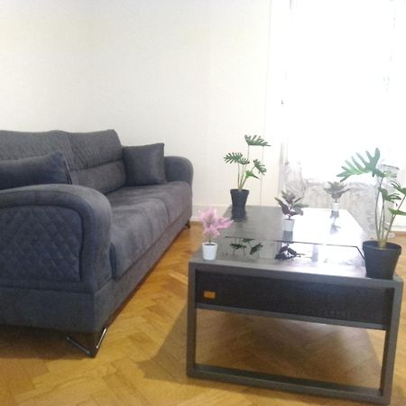 Charming Flat Center And Near The Lake 日内瓦 外观 照片