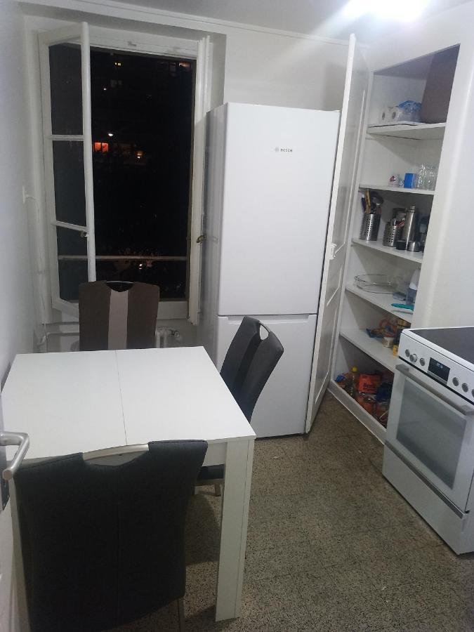 Charming Flat Center And Near The Lake 日内瓦 外观 照片