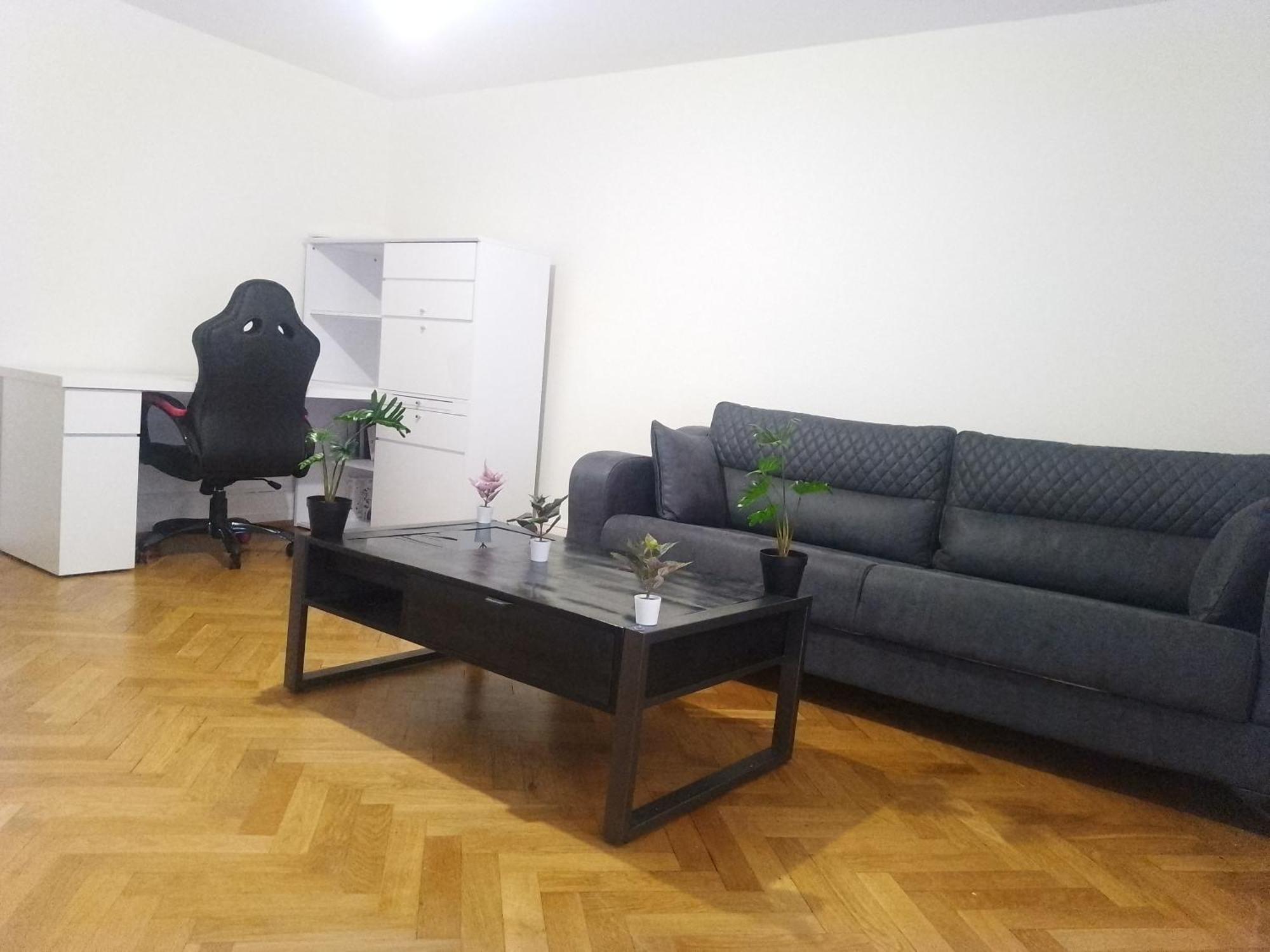 Charming Flat Center And Near The Lake 日内瓦 外观 照片