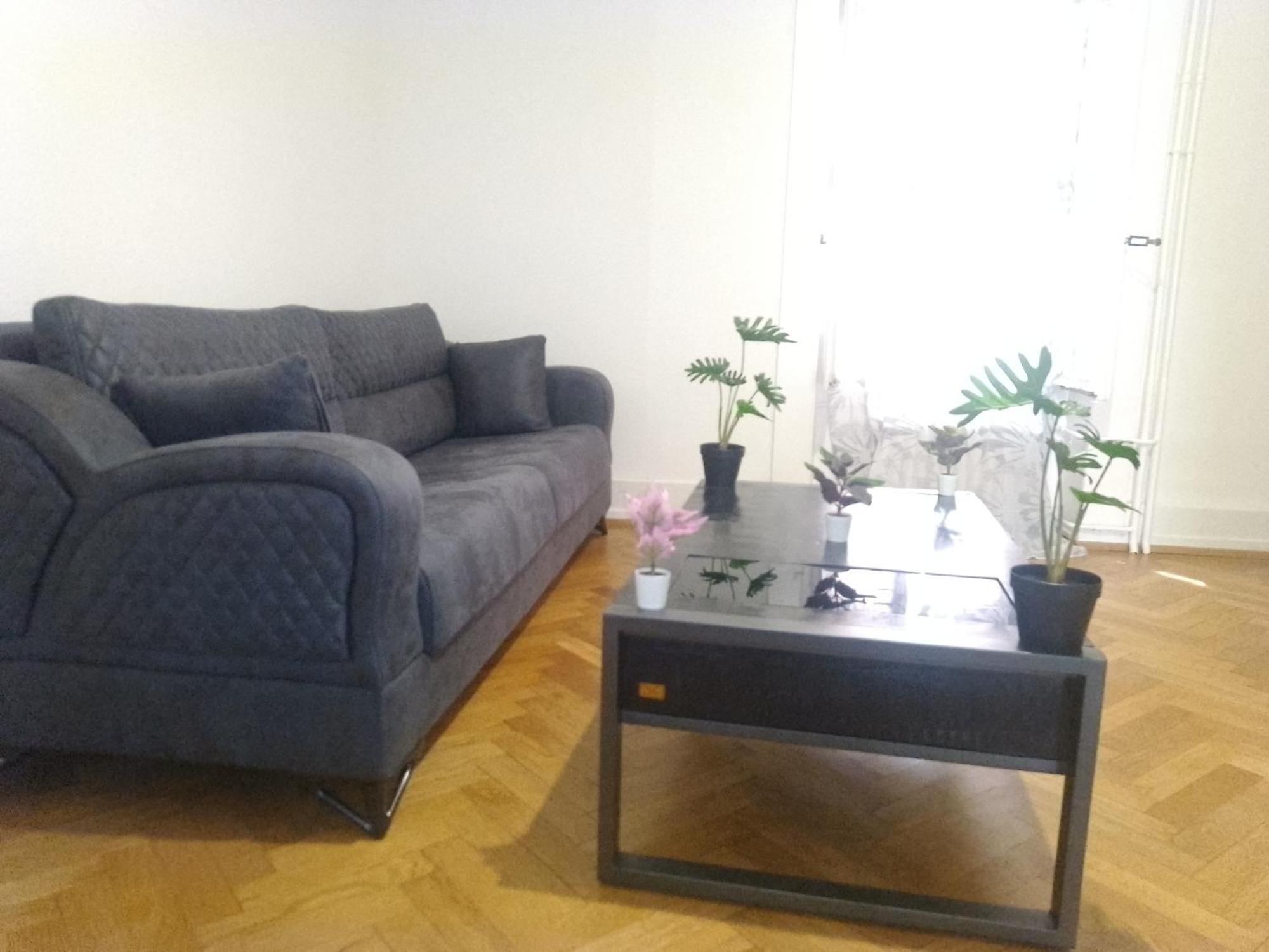 Charming Flat Center And Near The Lake 日内瓦 外观 照片