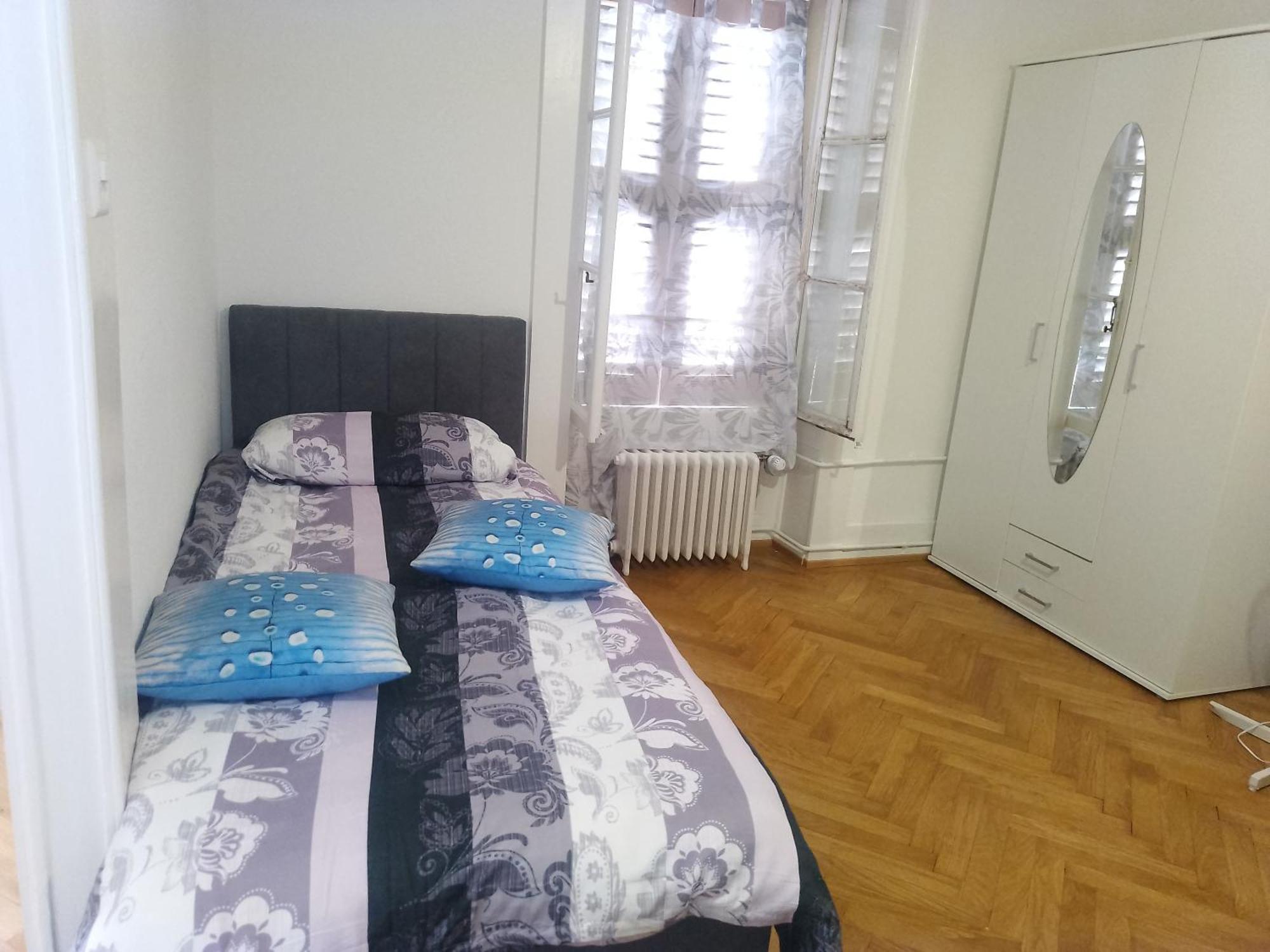 Charming Flat Center And Near The Lake 日内瓦 外观 照片
